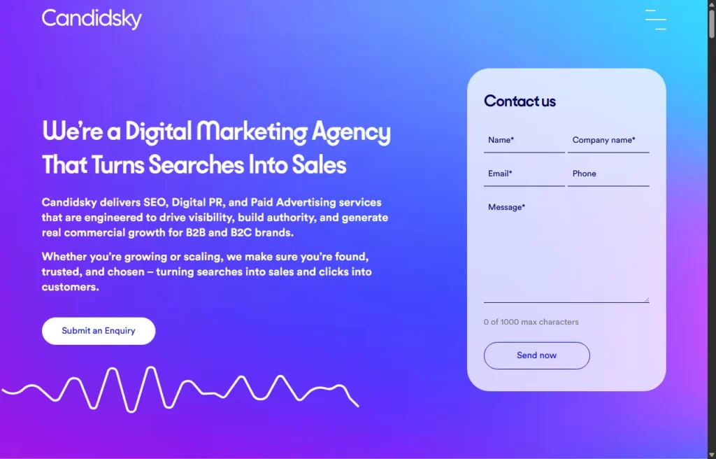 Candidsky homepage preview